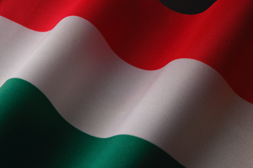 Угорщина відновила суперечливу програму 